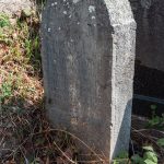 Споменик Луки Ристовићу на гробљу у Присоју, у Стапарима (фото Бојан Радојичић)