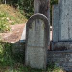 Споменик Тикомиру Веселиновићу на гробљу у Присоју, у Стапарима (фото Бојан Радојичић)
