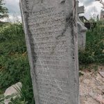 Споменик браћи Вукомановићима на гробљу у Сињевцу, Турици (фото Бојан Радојичић)