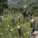 Гробље у Дубцима, Волујац (фото Бојан Радојичић)