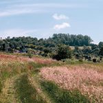 Гробље у Дубцима, Волујац (фото Бојан Радојичић)