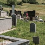 Гробље у Дубцима, Волујац (фото Бојан Радојичић)
