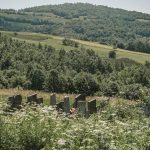 Гробље у Дубцима, Волујац (фото Бојан Радојичић)