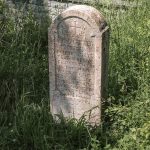 Споменик Петру Секулићу на гробљу у Дубцима, Волујац (фото Бојан Радојичић)