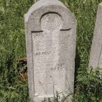 Споменик Ђорђу Секулићу на гробљу у Дубцима, Волујац (фото Бојан Радојичић)