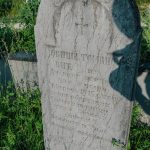 Споменик Јовиши Томановићу на гробљу на Превији у Дубоком (фото Бојан Радојичић)