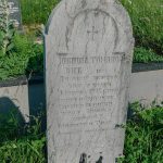 Споменик Јовиши Томановићу на гробљу на Превији у Дубоком (фото Бојан Радојичић)