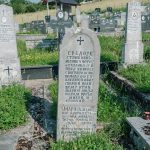 Споменик Средоју Станковићу на гробљу на Превији у Дубоком (фото Бојан Радојичић)