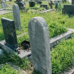 Споменик Средоју Станковићу на гробљу на Превији у Дубоком (фото Бојан Радојичић)
