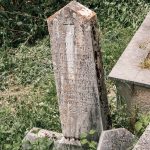 Споменик Крсти Т. Даниловићу на гробљу у Доњем пољу, Качер (фото Бојан Радојичић)