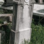 Споменик Ђорђу Тадићу на гробљу у Гардићима, Качер (фото Бојан Радојичић)