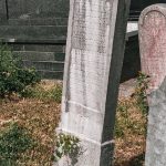 Споменик Милоју Гардићу на гробљу у Гардићима, Качер (фото Бојан Радојичић)