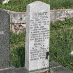 Споменик Боривоју Боровићу на гробљу на Главици, Качер (фото Бојан Радојичић)