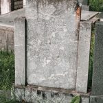 Споменик Василију Секулићу на гробљу на Главици, Качер (фото Бојан Радојичић)