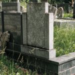 Споменик Василију Секулићу на гробљу на Главици, Качер (фото Бојан Радојичић)