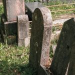 Споменик Радовану Јевтовићу на гробљу на Главици, Качер (фото Бојан Радојичић)
