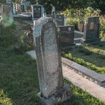 Споменик Вујадину Полићу на гробљу на потесу Криво Дрво у Луновом Селу (фото Бојан Радојичић)