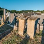 Споменик Цвијовићима на гробљу на потесу Криво Дрво у Луновом Селу (фото Бојан Радојичић)