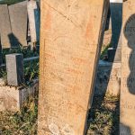 Споменик Цвијовићима на гробљу на потесу Криво Дрво у Луновом Селу (фото Бојан Радојичић)