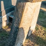 Споменик Цвијовићима на гробљу на потесу Криво Дрво у Луновом Селу (фото Бојан Радојичић)