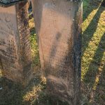 Споменик Цвијовићима на гробљу на потесу Криво Дрво у Луновом Селу (фото Бојан Радојичић)