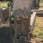 Споменик Петру Миловићу на гробљу у засеоку Јелићи у Луновом Селу (фото Бојан Радојичић)