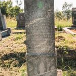 Споменик Влаисаву Јелићу на гробљу у засеоку Јелићи у Луновом Селу (фото Бојан Радојичић)