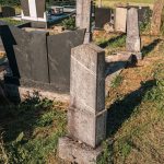 Споменик Влаисаву Јелићу на гробљу у засеоку Јелићи у Луновом Селу (фото Бојан Радојичић)