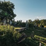 Гробље у засеоку Јелићи у Луновом Селу (фото Бојан Радојичић)