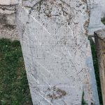 Споменик Ђоку Ђоковићу на гробљу у Севојну (фото Бојан Радојичић)