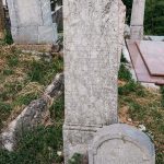 Споменик Велимиру и Ђорђу Алексићима на гробљу у Севојну (фото Бојан Радојичић)