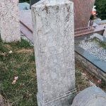 Споменик Велимиру и Ђорђу Алексићима на гробљу у Севојну (фото Бојан Радојичић)