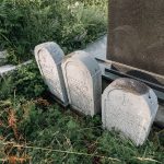 Споменик Витомиру Арсенијевићу на гробљу на потесу Виловине у Севојну (фото Бојан Радојичић)