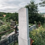 Споменик Драгомиру Гогићу на гробљу на потесу Виловине у Севојну (фото Бојан Радојичић)
