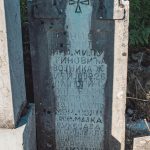Споменик Милутину Милутиновићу на гробљу на потесу Пландиште у Стапарима (фото Бојан Радојичић)