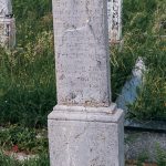 Споменик Мићи Богојевићу на гробљу на Пониквама у Стапарима (фото Бојан Радојичић)