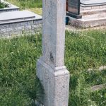 Споменик Мићи Богојевићу на гробљу на Пониквама у Стапарима (фото Бојан Радојичић)