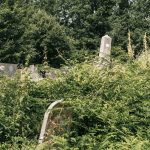 Гробље у Кнежевићима у Волујцу (фото Бојан Радојичић)