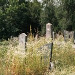 Гробље у Кнежевићима у Волујцу (фото Бојан Радојичић)
