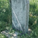 Споменик Спасојевићима на потесу Шеварија, Волујац (фото Бојан Радојичић)