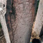 Споменик Витомиру Прљевићу на гробљу у Прљевини, Љубање (фото Бојан Радојичић)