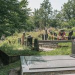Филиповића гробље у Рибашевини (фото Бојан Радојичић)