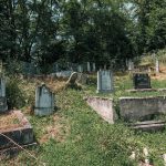 Филиповића гробље у Рибашевини (фото Бојан Радојичић)