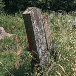 Споменик Велимиру Божићу на Филиповића гробљу у Рибашевини (фото Бојан Радојичић)