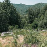 Јанковића гробље у Рибашевини (фото Бојан Радојичић)