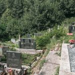 Јанковића гробље у Рибашевини (фото Бојан Радојичић)