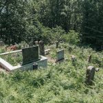 Јанковића гробље у Рибашевини (фото Бојан Радојичић)