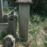 Споменик Радомиру Јанковићу на Јанковића гробљу у Рибашевини (фото Бојан Радојичић)