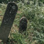 Споменик војнику Јанковићу на Јанковића гробљу у Рибашевини (фото Бојан Радојичић)