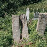 Споменик Радисаву Трифуновићу на Јанковића гробљу у Рибашевини (фото Бојан Радојичић)